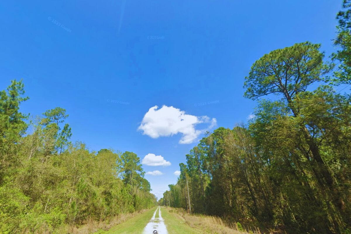 Near Lake - 417 Siesta Dr, Georgetown, FL 32139