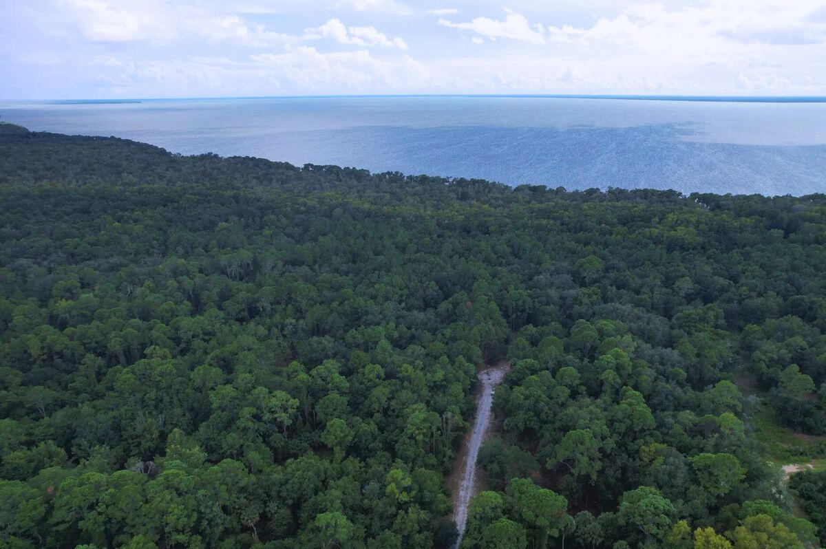 Near Lake - 417 Siesta Dr, Georgetown, FL 32139