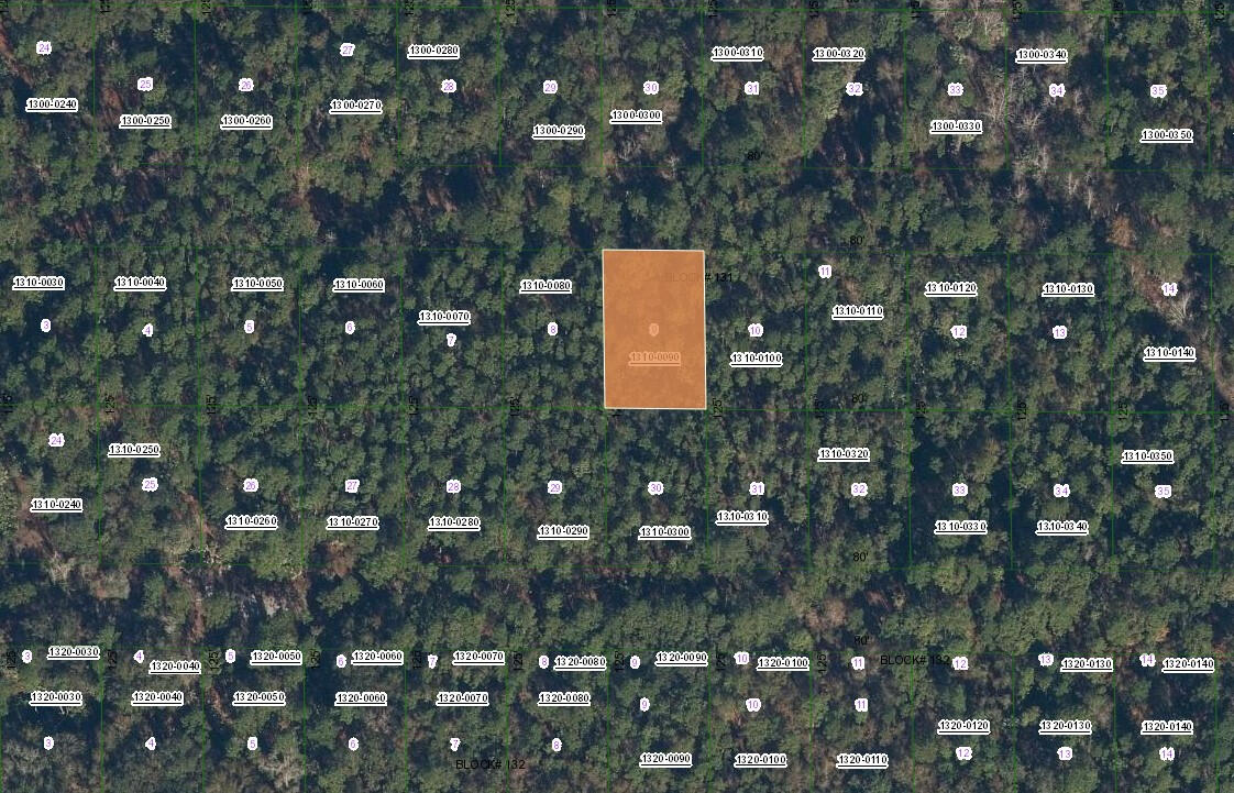 Near Lake - 417 Siesta Dr, Georgetown, FL 32139