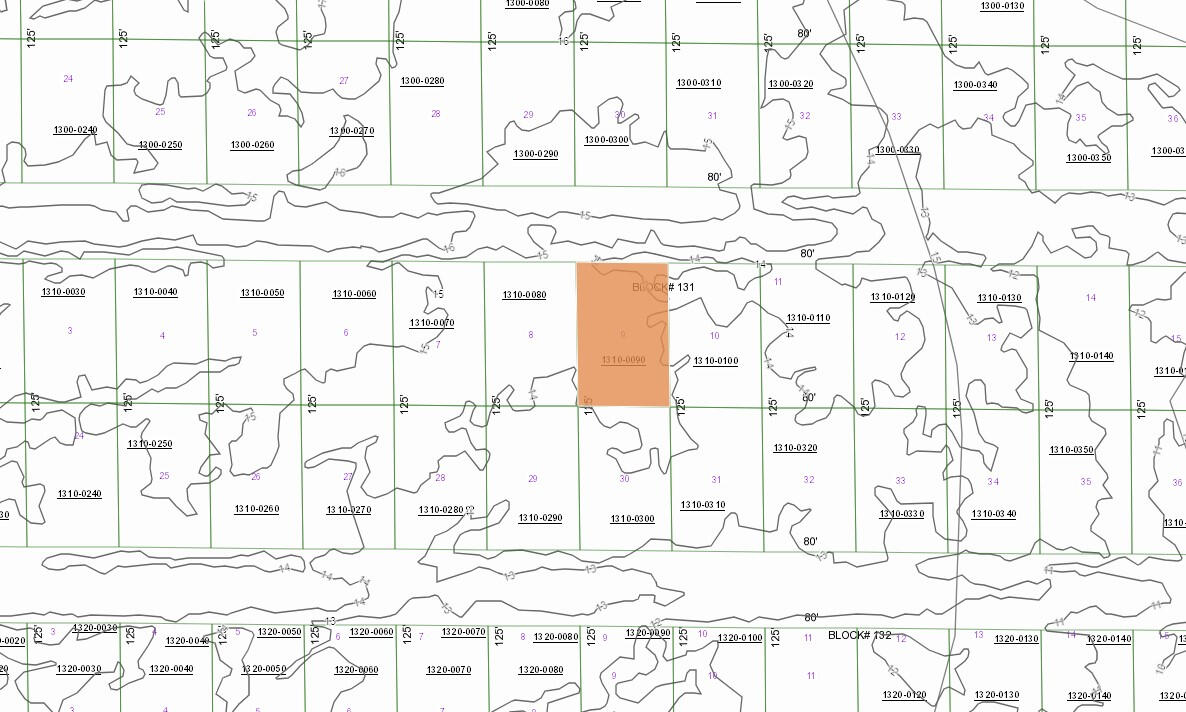 Near Lake - 417 Siesta Dr, Georgetown, FL 32139