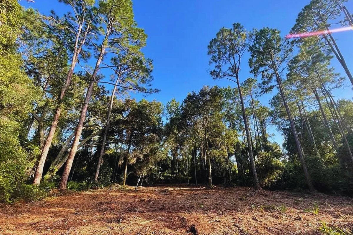 Near Lake - 417 Siesta Dr, Georgetown, FL 32139