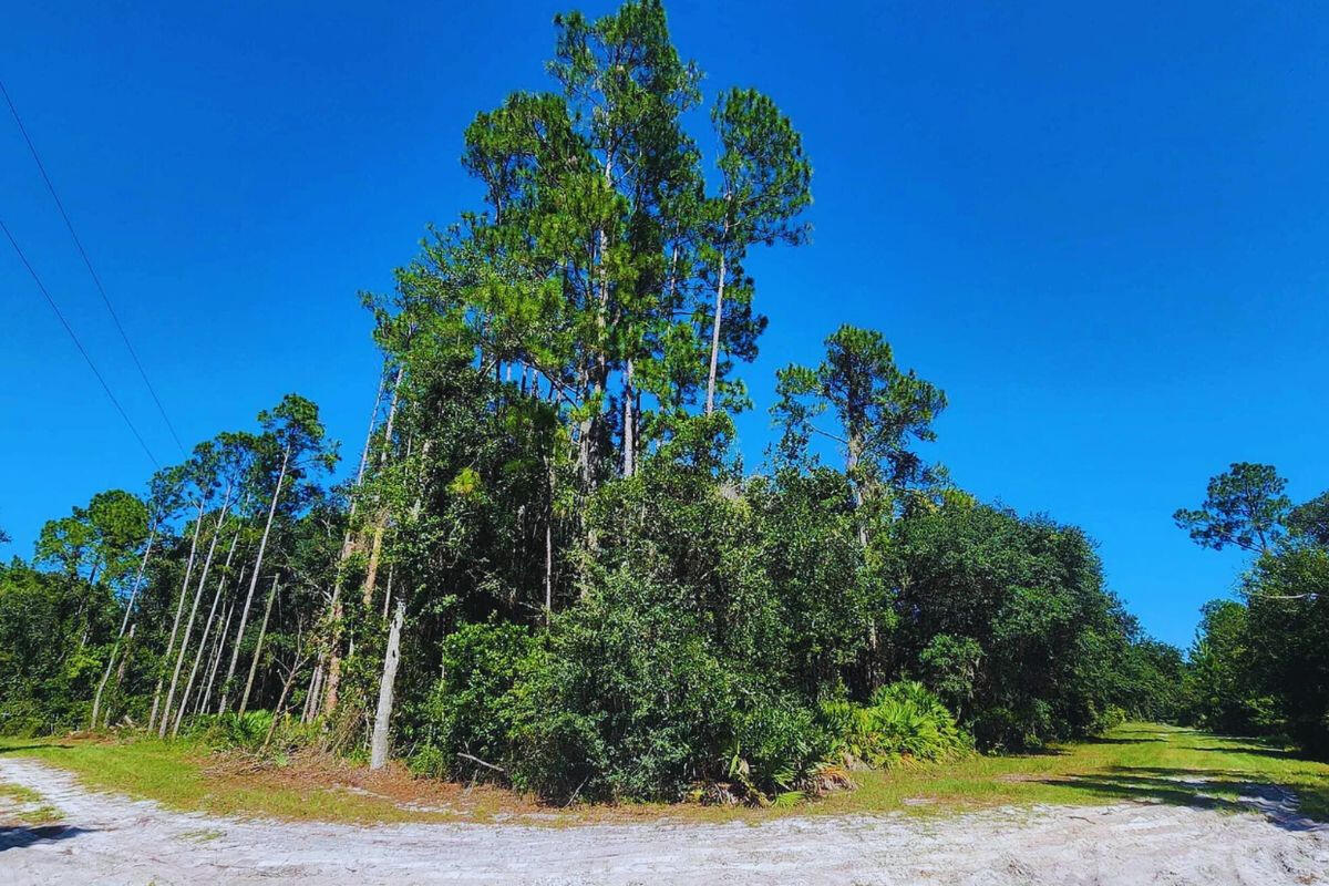 Near Lake - 417 Siesta Dr, Georgetown, FL 32139