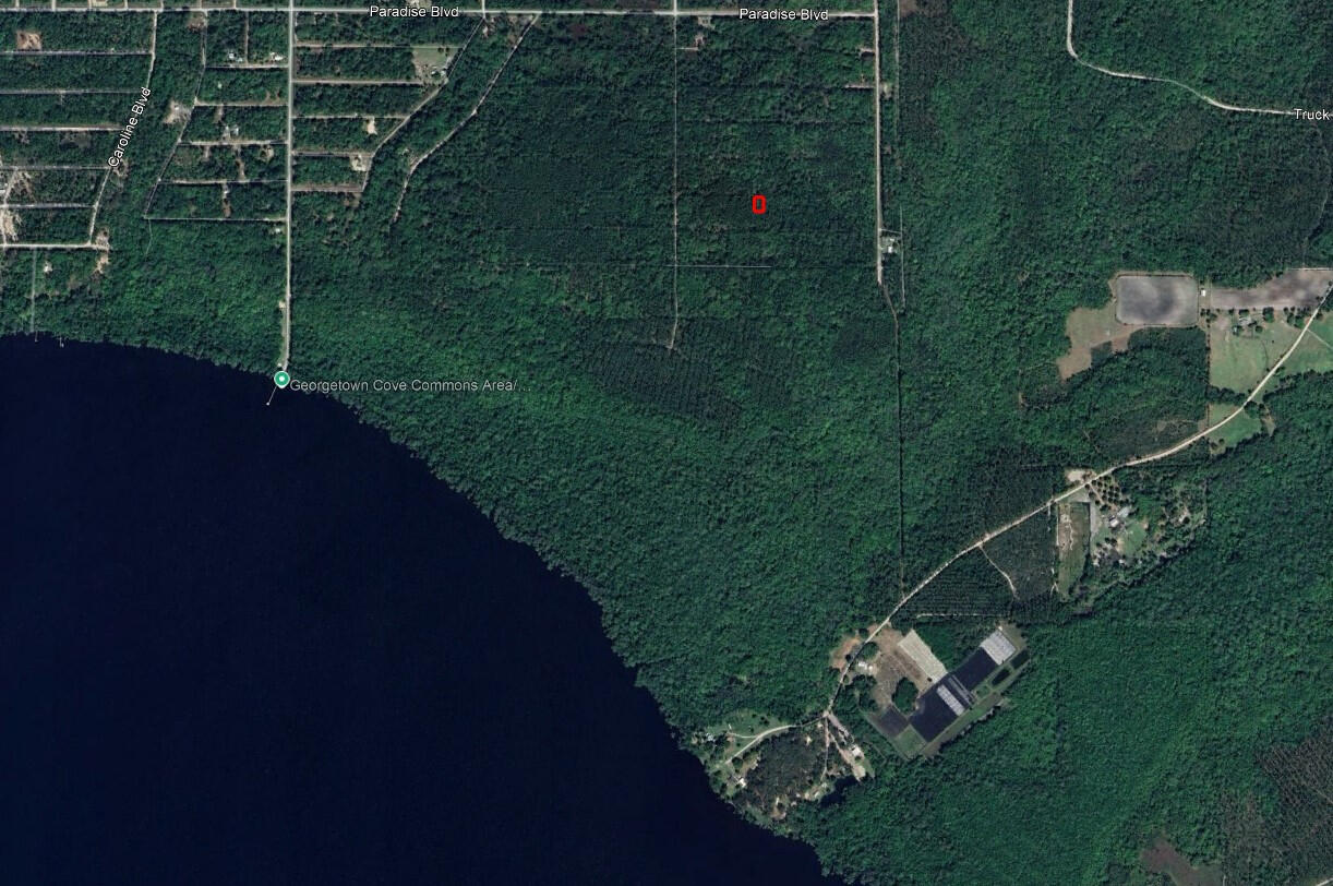 Near Lake - 417 Siesta Dr, Georgetown, FL 32139