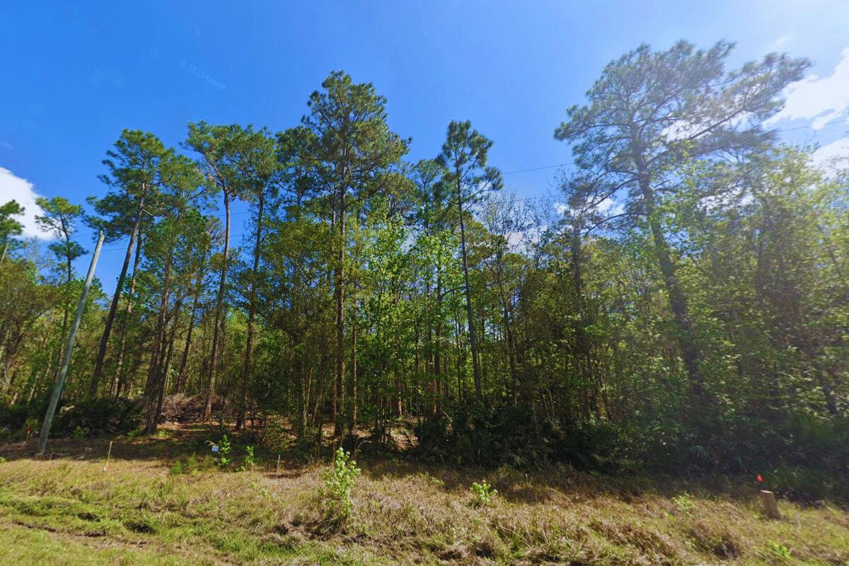 Near Lake - 417 Siesta Dr, Georgetown, FL 32139